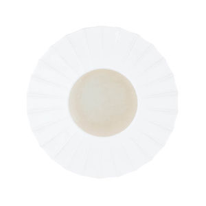 flat plate 1