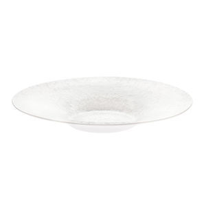 soup plate 1