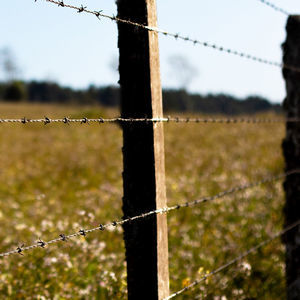 barbed wire
