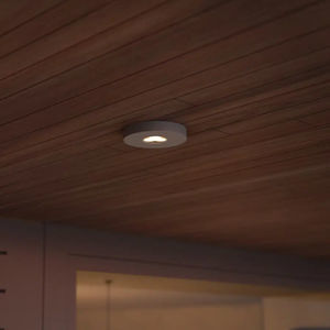 contemporary ceiling light