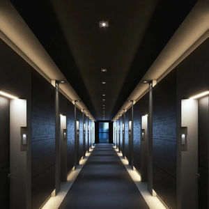 contemporary ceiling light 1