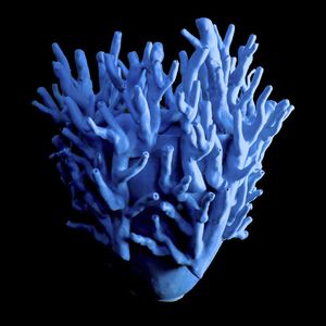 contemporary vase 1