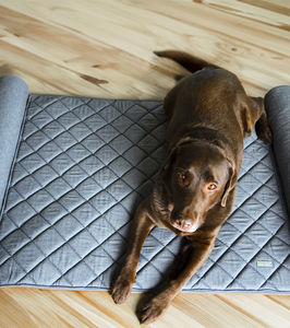 velvet dog bed