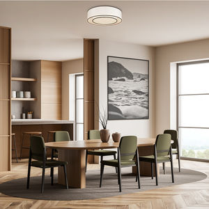 contemporary ceiling light