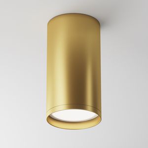 ceiling-mounted spotlight 1