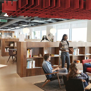 polyester suspended ceiling