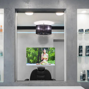wall-mounted TV mirror