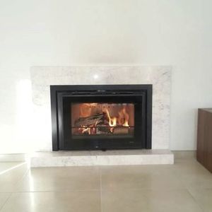 wood-burning fireplace insert 1