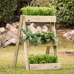 pine planter
