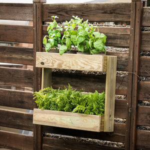 pine planter
