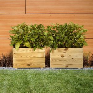pine planter