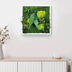 preserved living frame