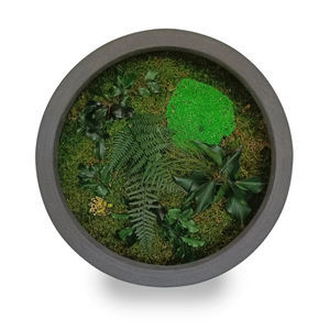 preserved living frame
