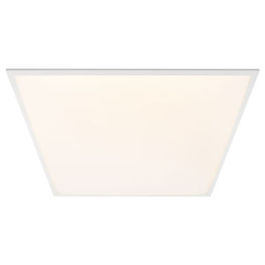 surface-mounted light fixture