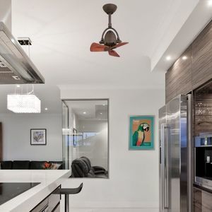 ceiling fan