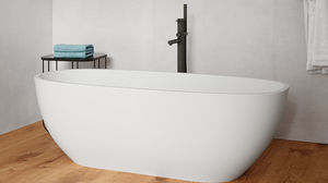oval bathtub 1