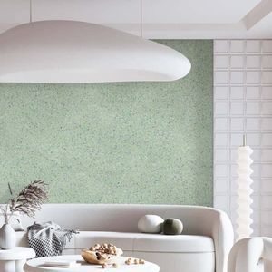 decorative coating 1