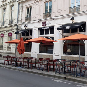 square parasol 1
