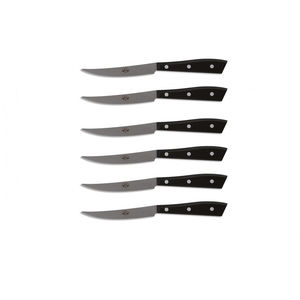 steak knife with PMMA handle