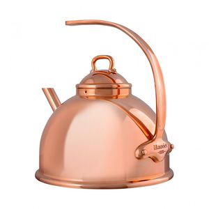 stainless steel kettle