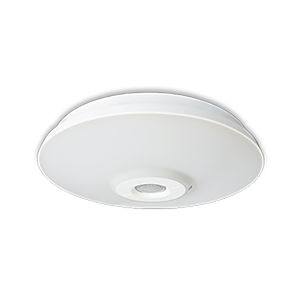 motion detector