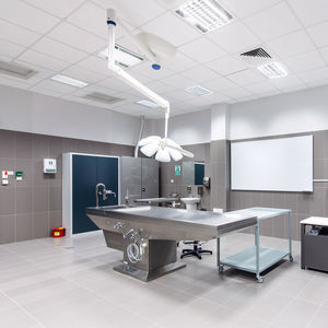 mineral fiber suspended ceiling