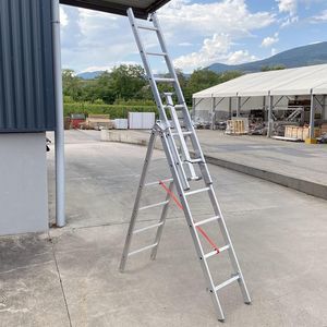 work professional ladder 1