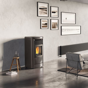 pellet boiler stove 1