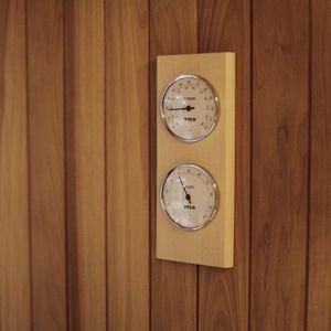 thermo hygrometer