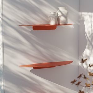 wall-mounted shelves