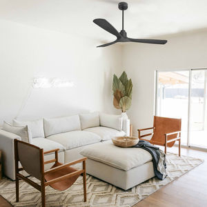 residential ceiling fan 1