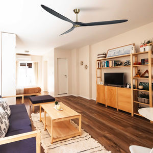 residential ceiling fan 1