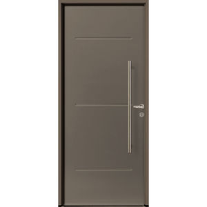 entry door 1