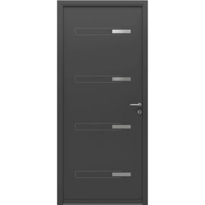entry door 1