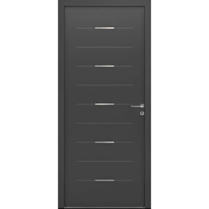 entry door 1