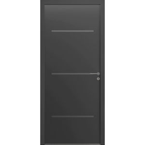 entry door 1