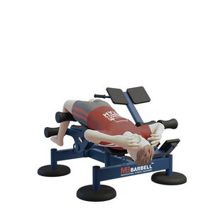 abdominal crunch weight training machine