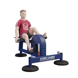 recumbent exercise bike 1