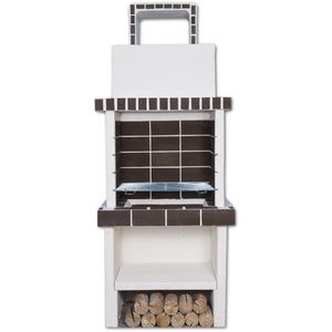 wood-burning barbecue 1
