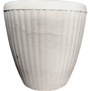 concrete plant pot