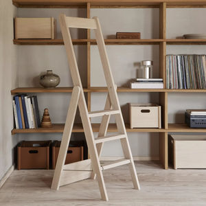 access ladder