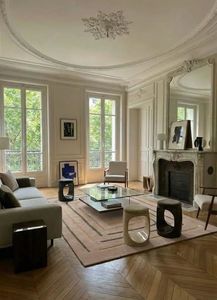 contemporary rug 1