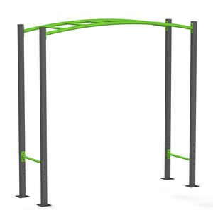 fitness trail ladder