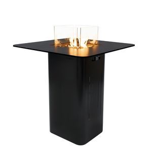 gas fire pit 1