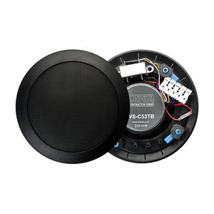 ceiling-mounted speaker