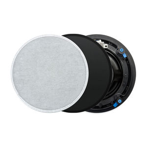 ceiling-mounted speaker 1
