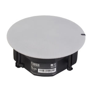 ceiling-mounted speaker 1
