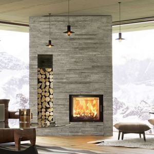 wood-burning fireplace insert 1