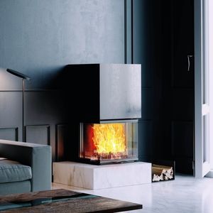 3-sided fireplace insert