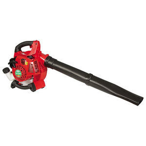 handheld leaf blower 1